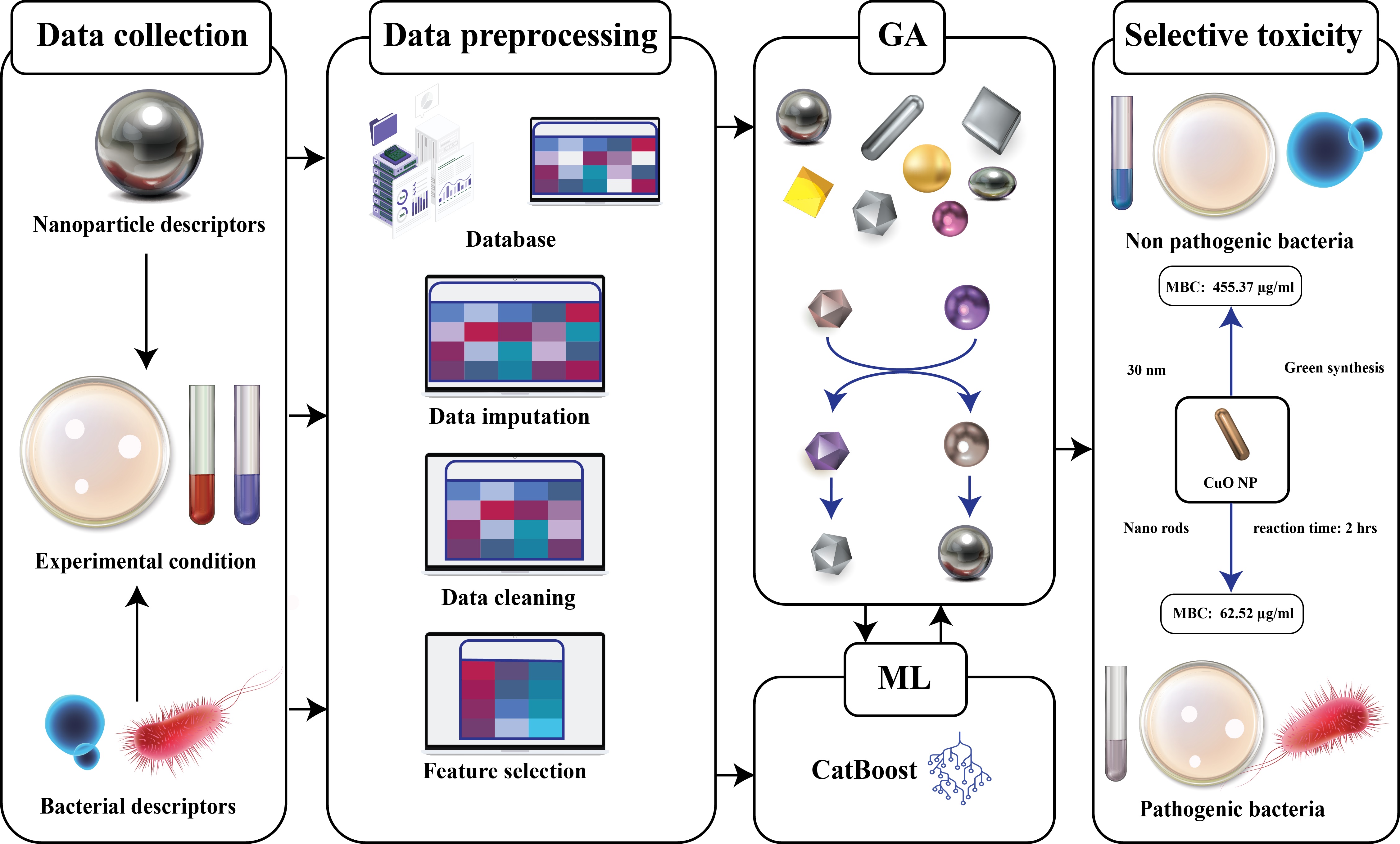 SelTox: Discovering the Capacity of Selectively Antimicrobial Nanoparticles for Targeted Eradication of Pathogenic Bacteria